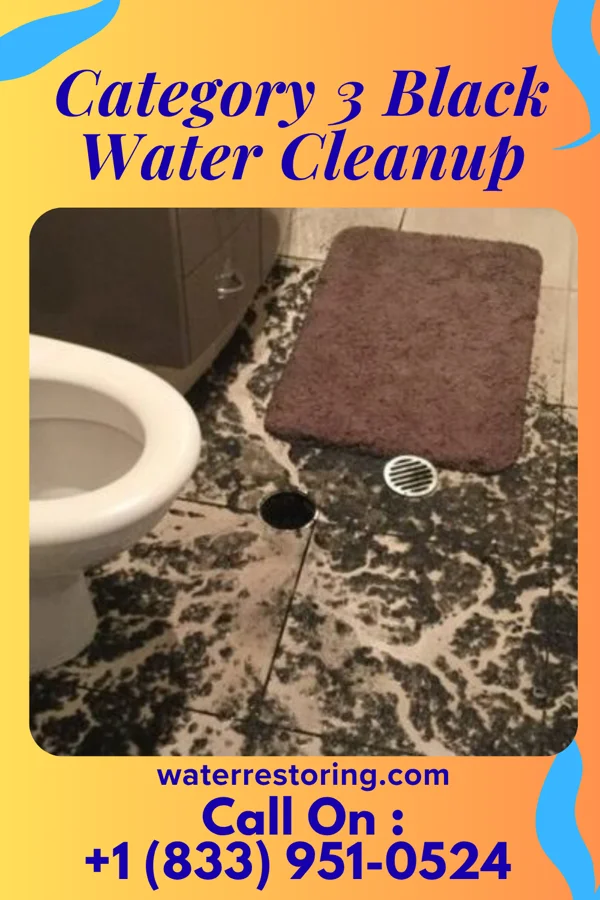 Category 3 Black Water Cleanup in Chester Heights, PA