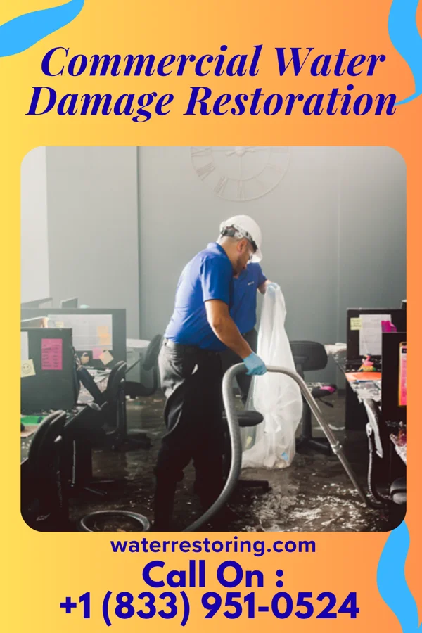Commercial Water Damage Restoration in Chester Heights, PA