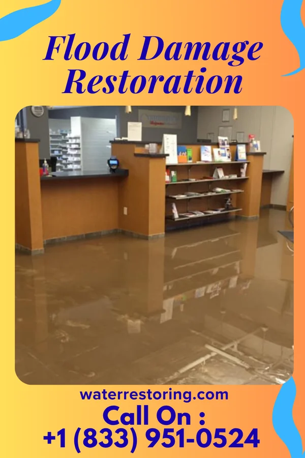 Flood Damage Restoration in Chester Heights, PA