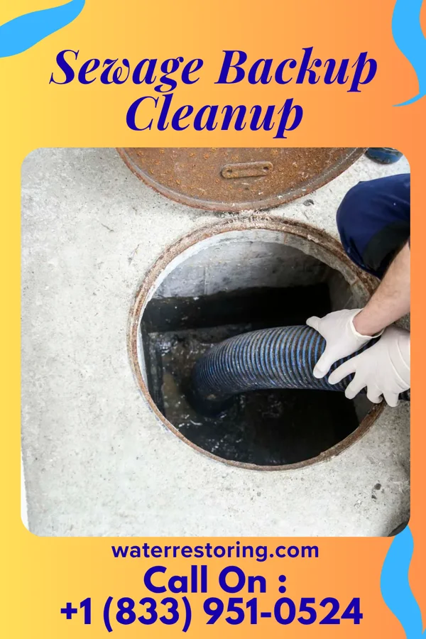 Sewage Backup Cleanup in Chester Heights, PA